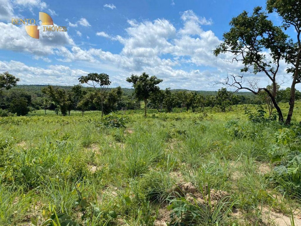 Sítio de 70 ha em Nossa Senhora do Livramento, MT