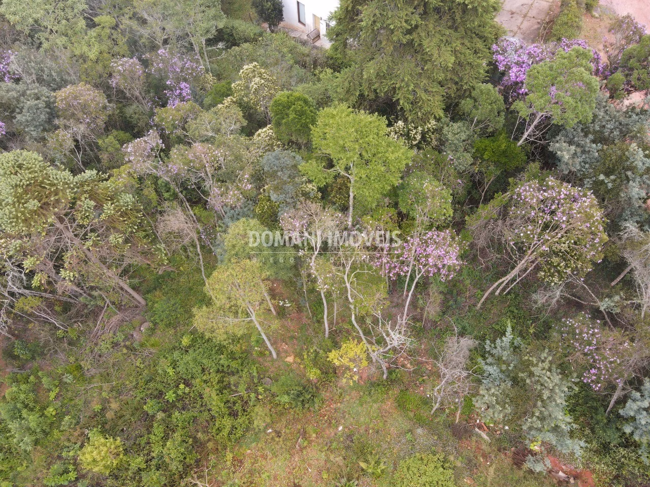 Plot of 1,550 m² in Campos do Jordão, SP, Brazil