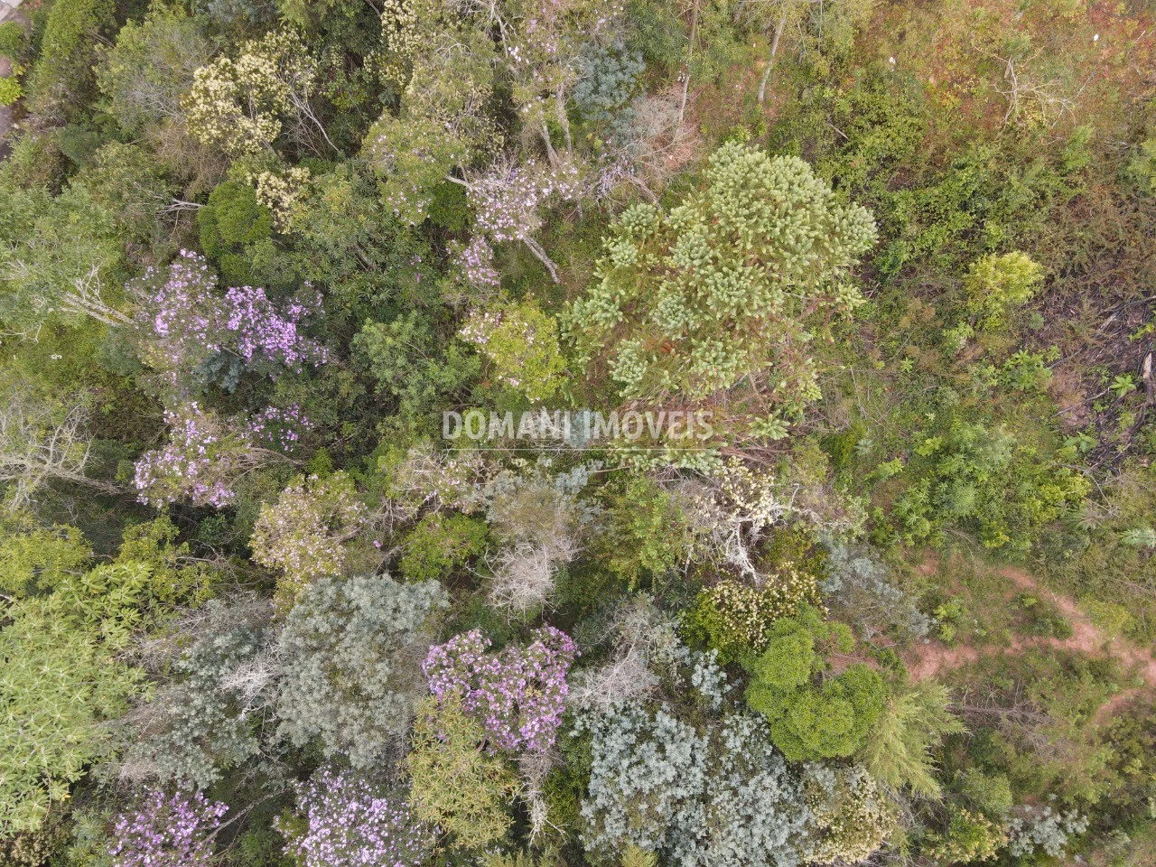 Plot of 1,550 m² in Campos do Jordão, SP, Brazil