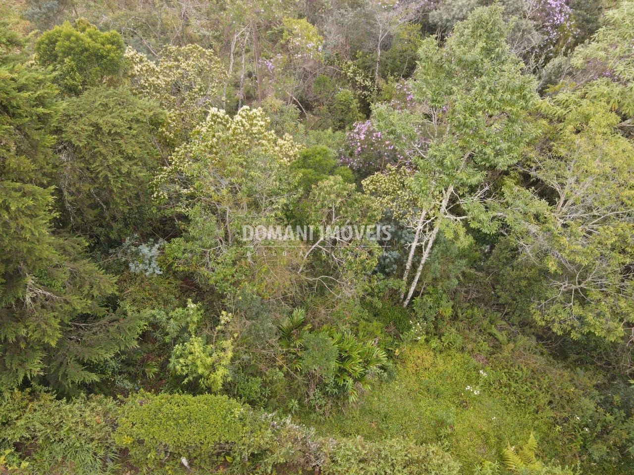 Plot of 1,550 m² in Campos do Jordão, SP, Brazil