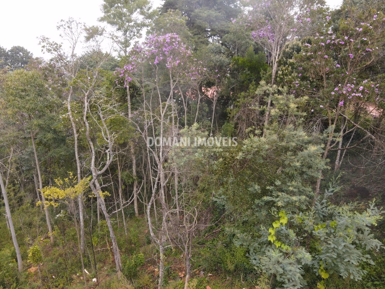 Plot of 1,550 m² in Campos do Jordão, SP, Brazil