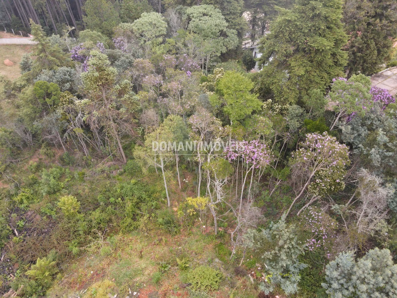 Plot of 1,550 m² in Campos do Jordão, SP, Brazil