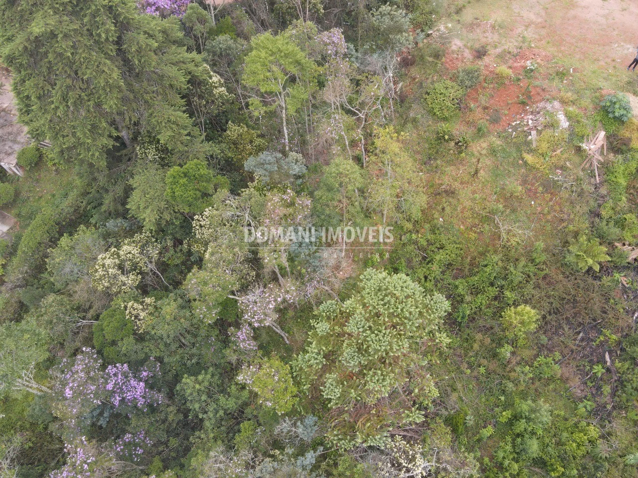 Plot of 1,550 m² in Campos do Jordão, SP, Brazil