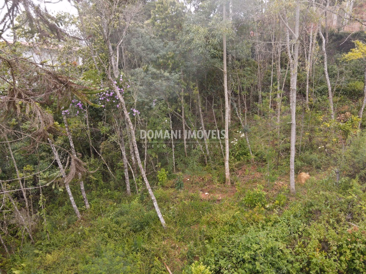 Plot of 1,550 m² in Campos do Jordão, SP, Brazil