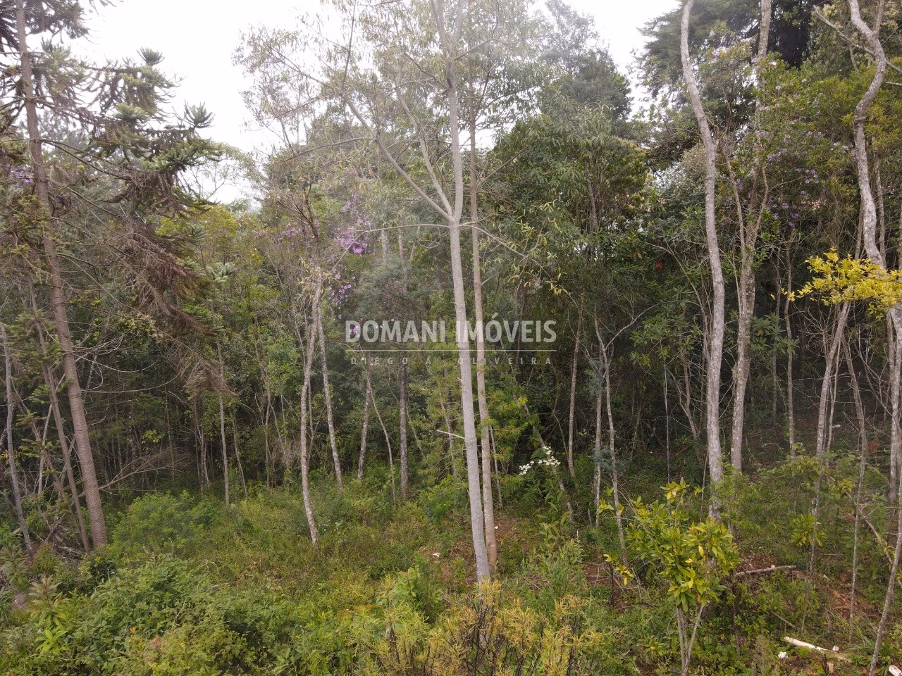 Plot of 1,550 m² in Campos do Jordão, SP, Brazil