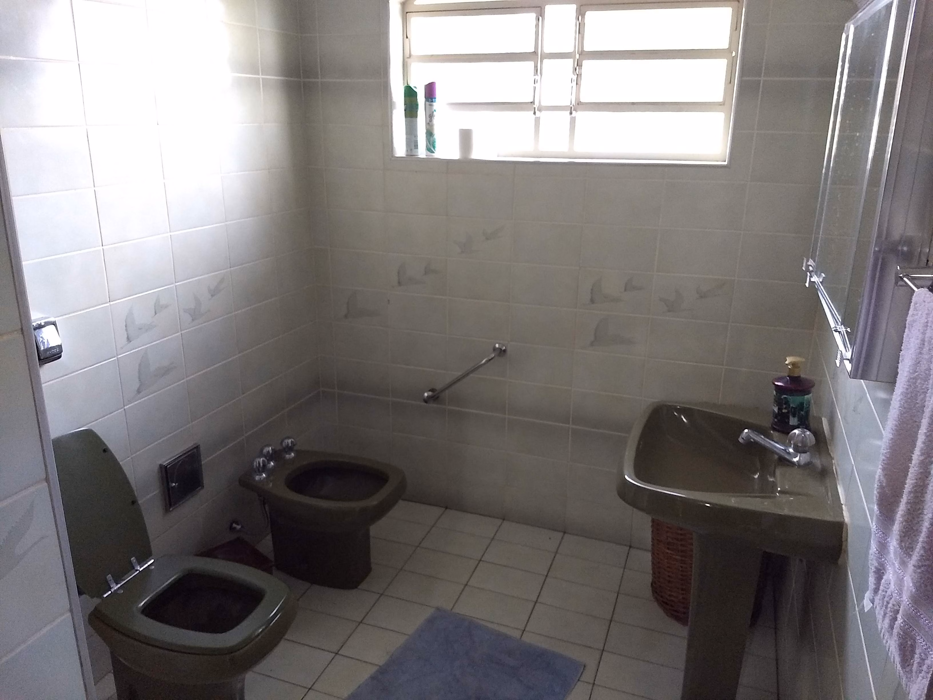 Chácara de 5.000 m² em Leme, SP