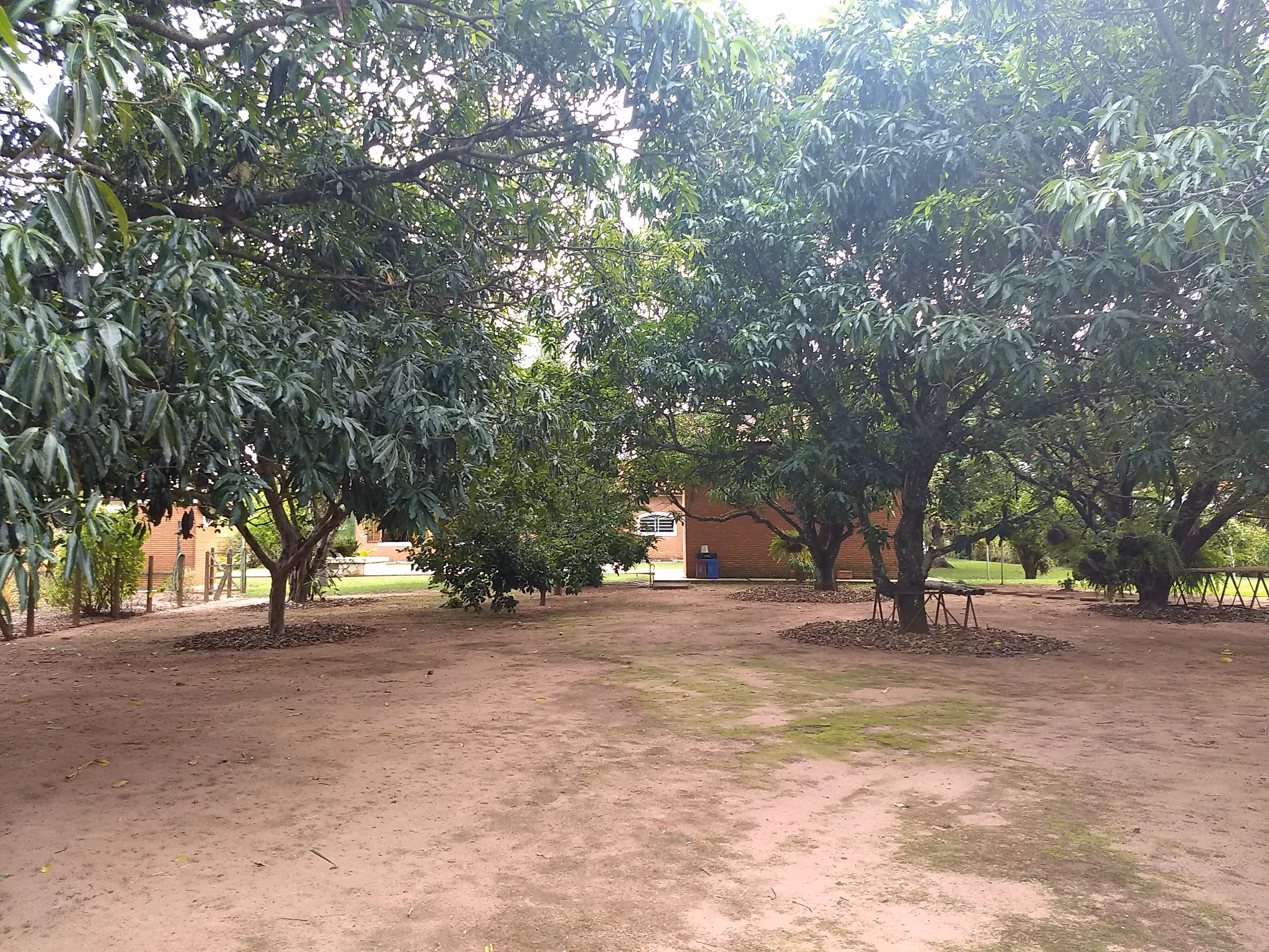 Chácara de 5.000 m² em Leme, SP