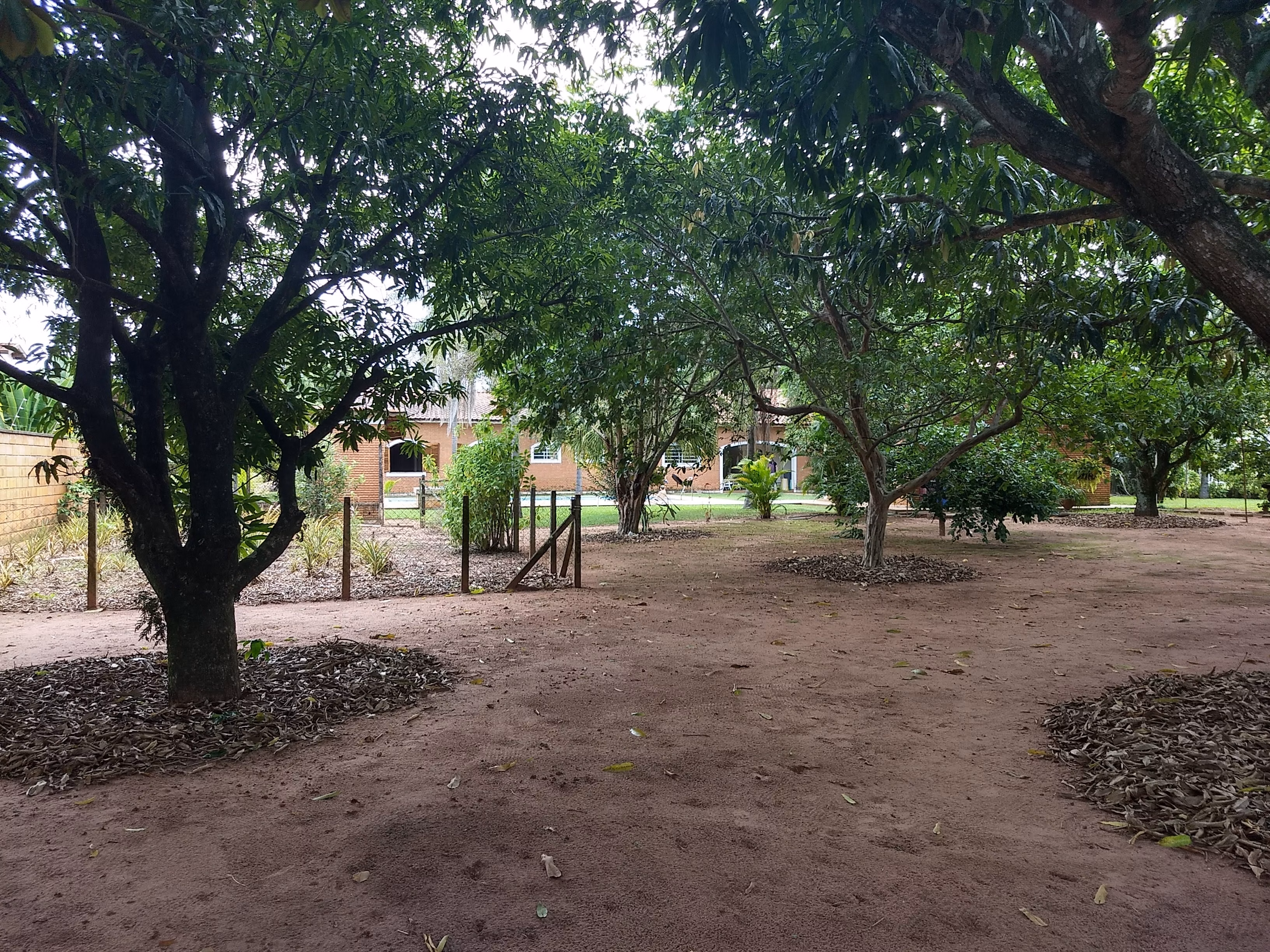Chácara de 5.000 m² em Leme, SP