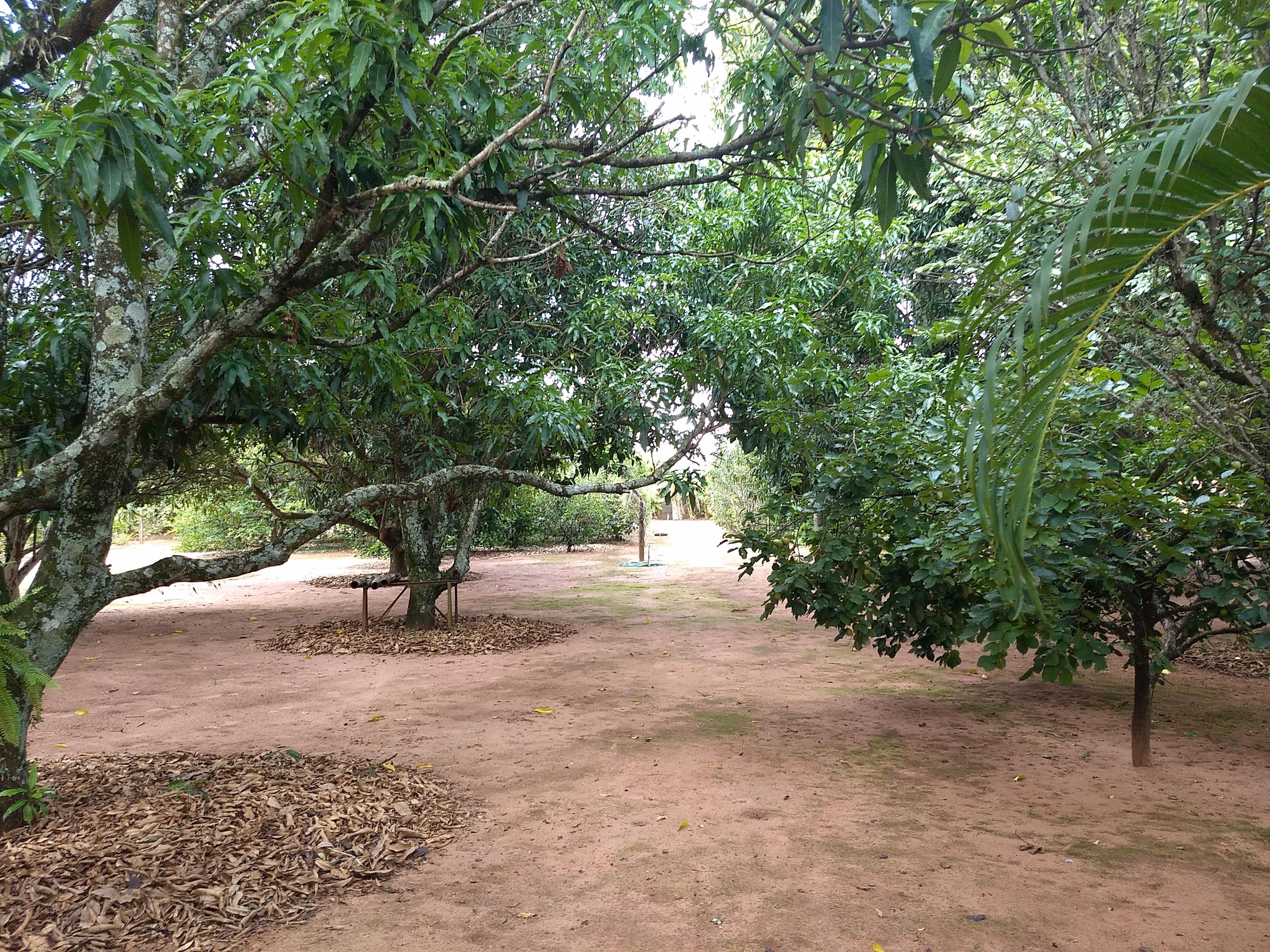 Chácara de 5.000 m² em Leme, SP