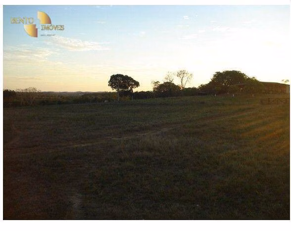 Farm of 1,334 acres in Jangada, MT, Brazil