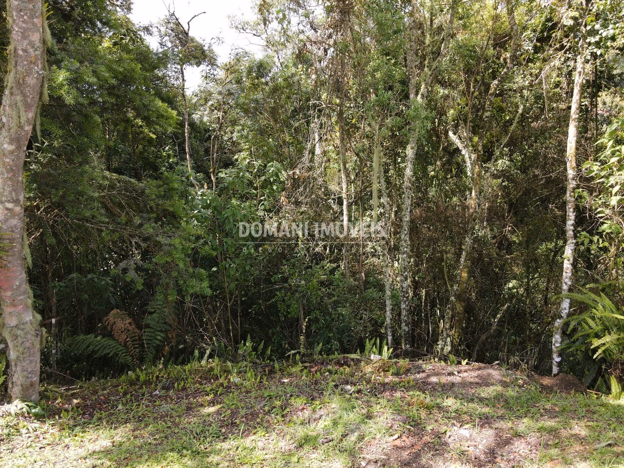 Plot of 1,120 m² in Campos do Jordão, SP, Brazil