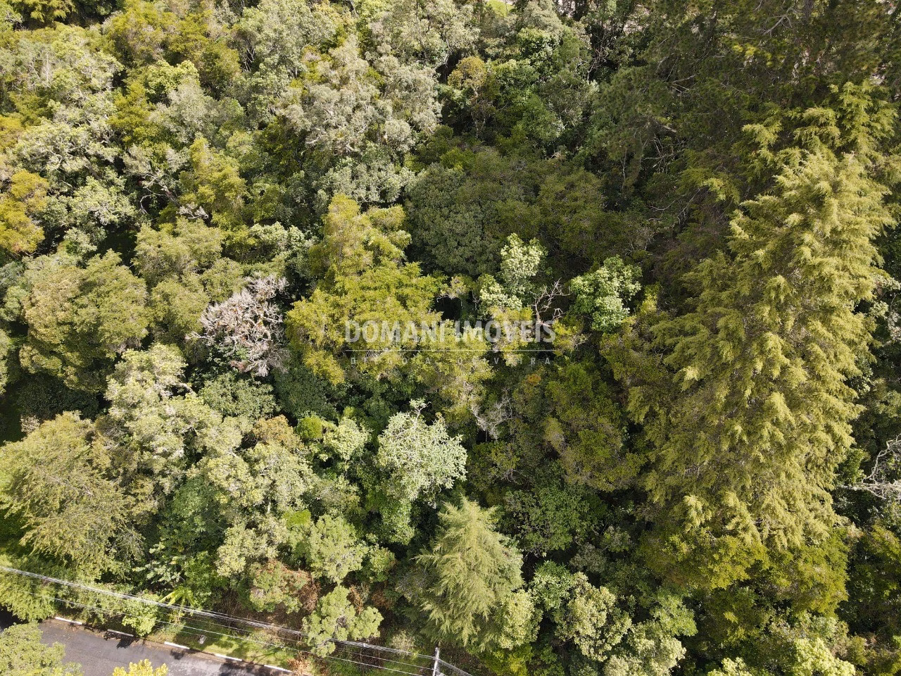Plot of 1,120 m² in Campos do Jordão, SP, Brazil