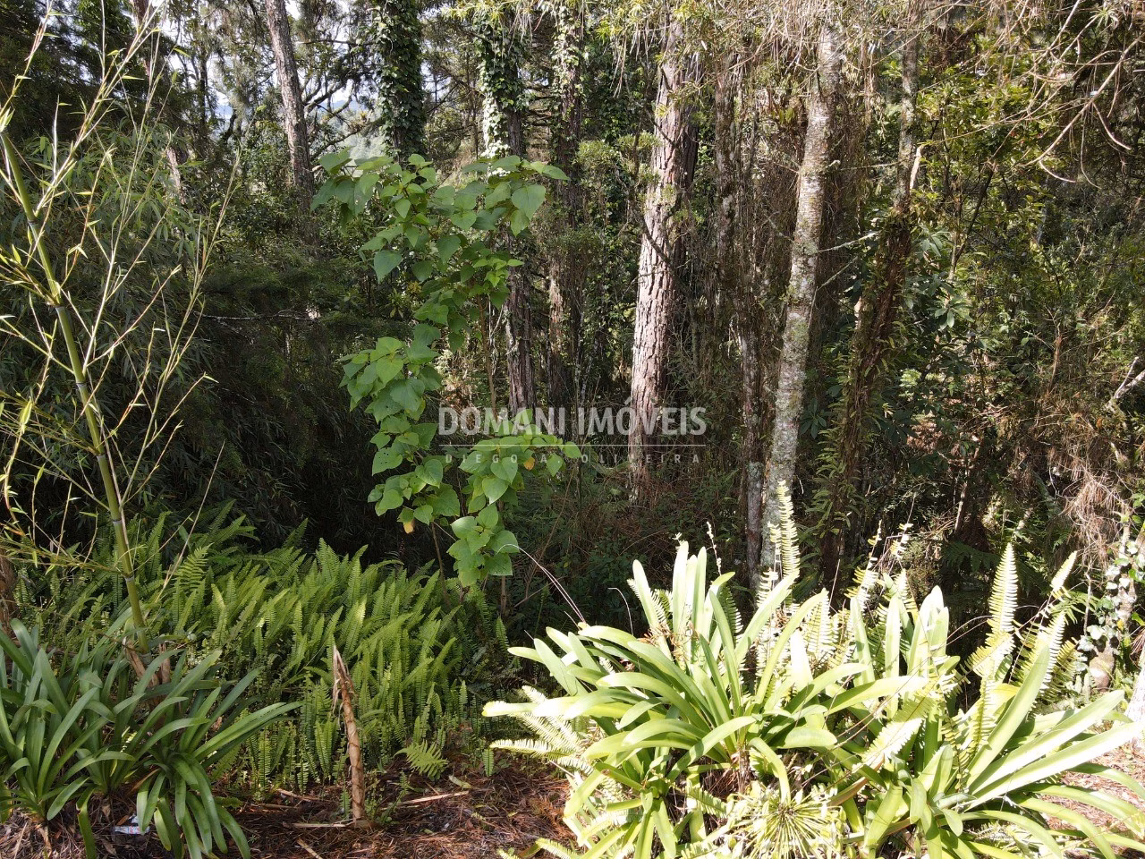 Plot of 1,120 m² in Campos do Jordão, SP, Brazil