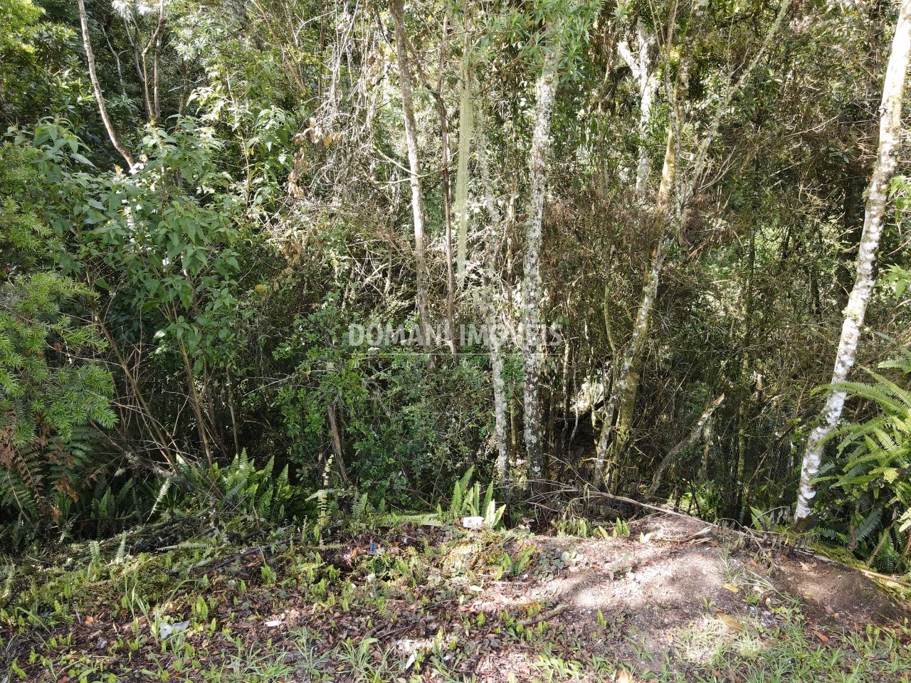 Plot of 1,120 m² in Campos do Jordão, SP, Brazil