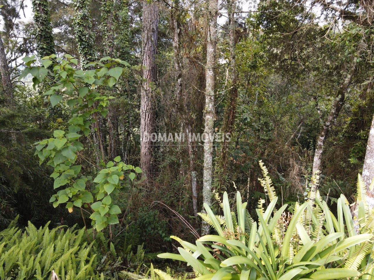 Plot of 1,120 m² in Campos do Jordão, SP, Brazil