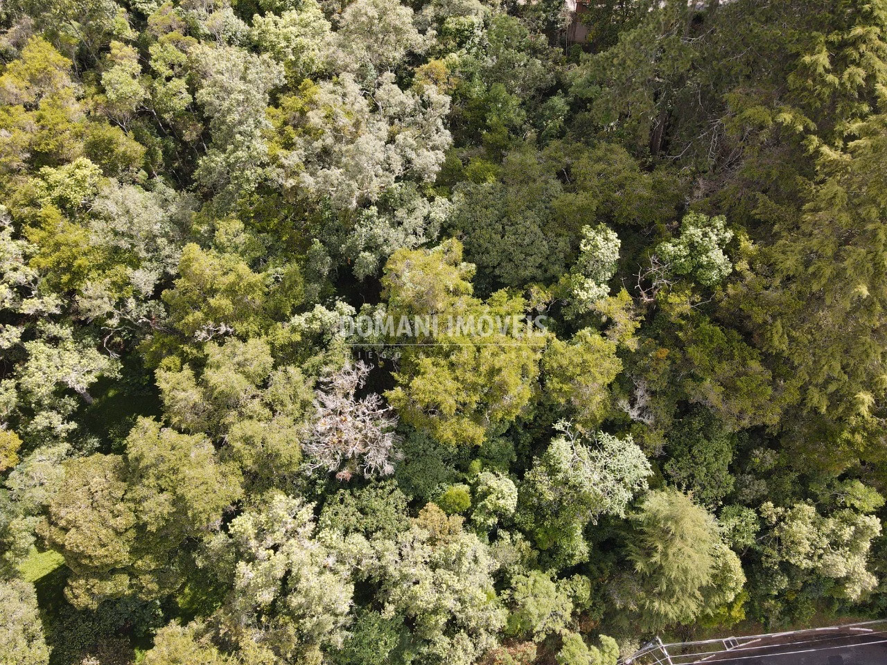 Plot of 1,120 m² in Campos do Jordão, SP, Brazil