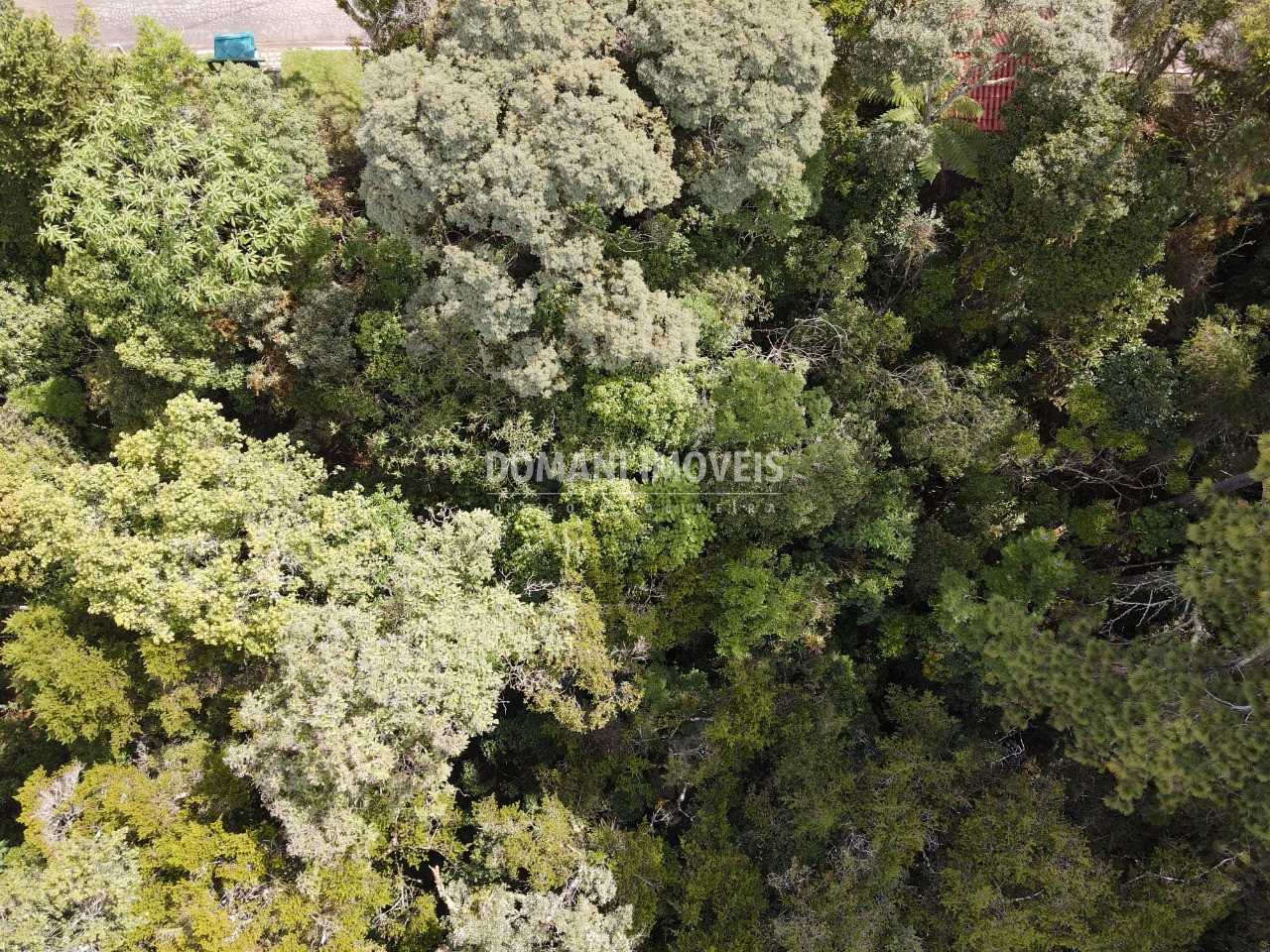 Plot of 1,120 m² in Campos do Jordão, SP, Brazil