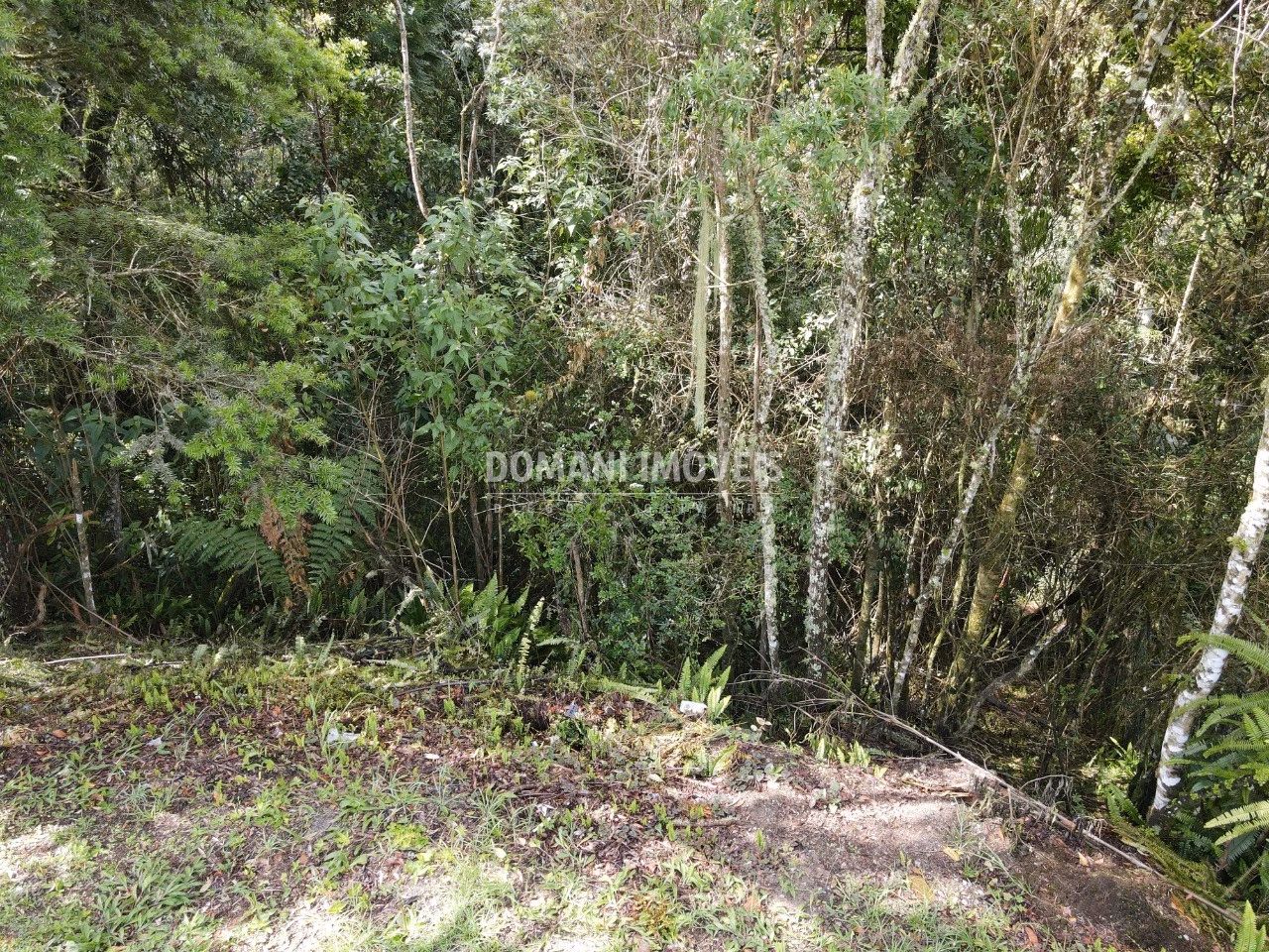 Plot of 1,120 m² in Campos do Jordão, SP, Brazil