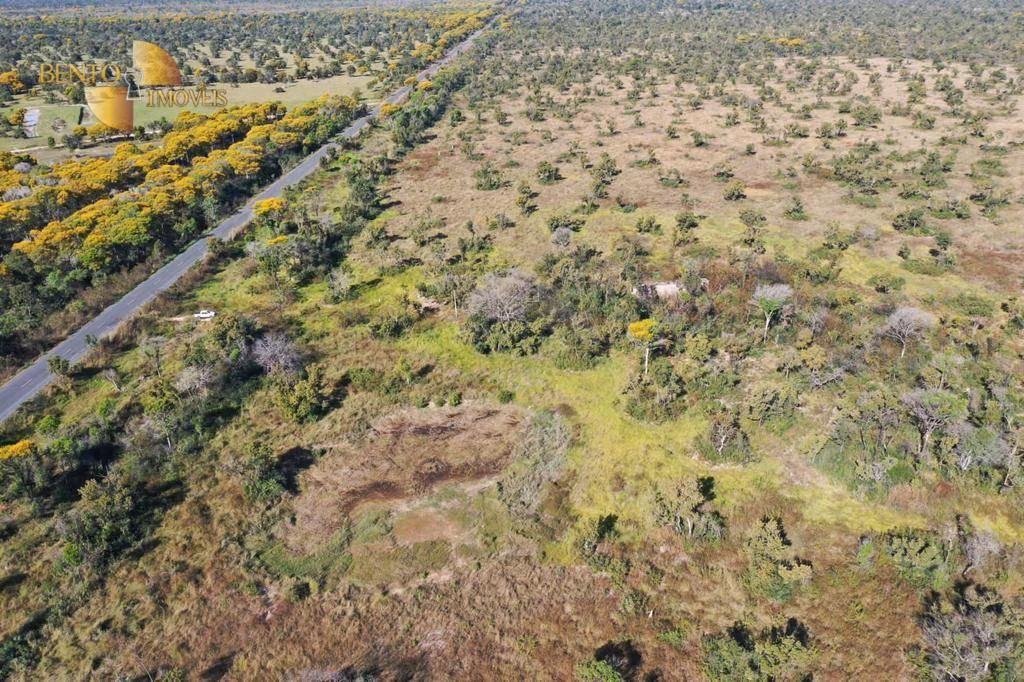 Fazenda de 252 ha em Santo Antônio de Leverger, MT