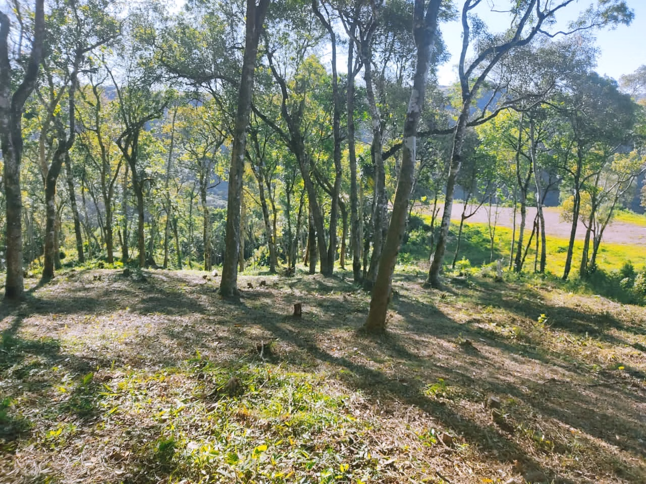 Terreno de 2 ha em Campo Largo, PR