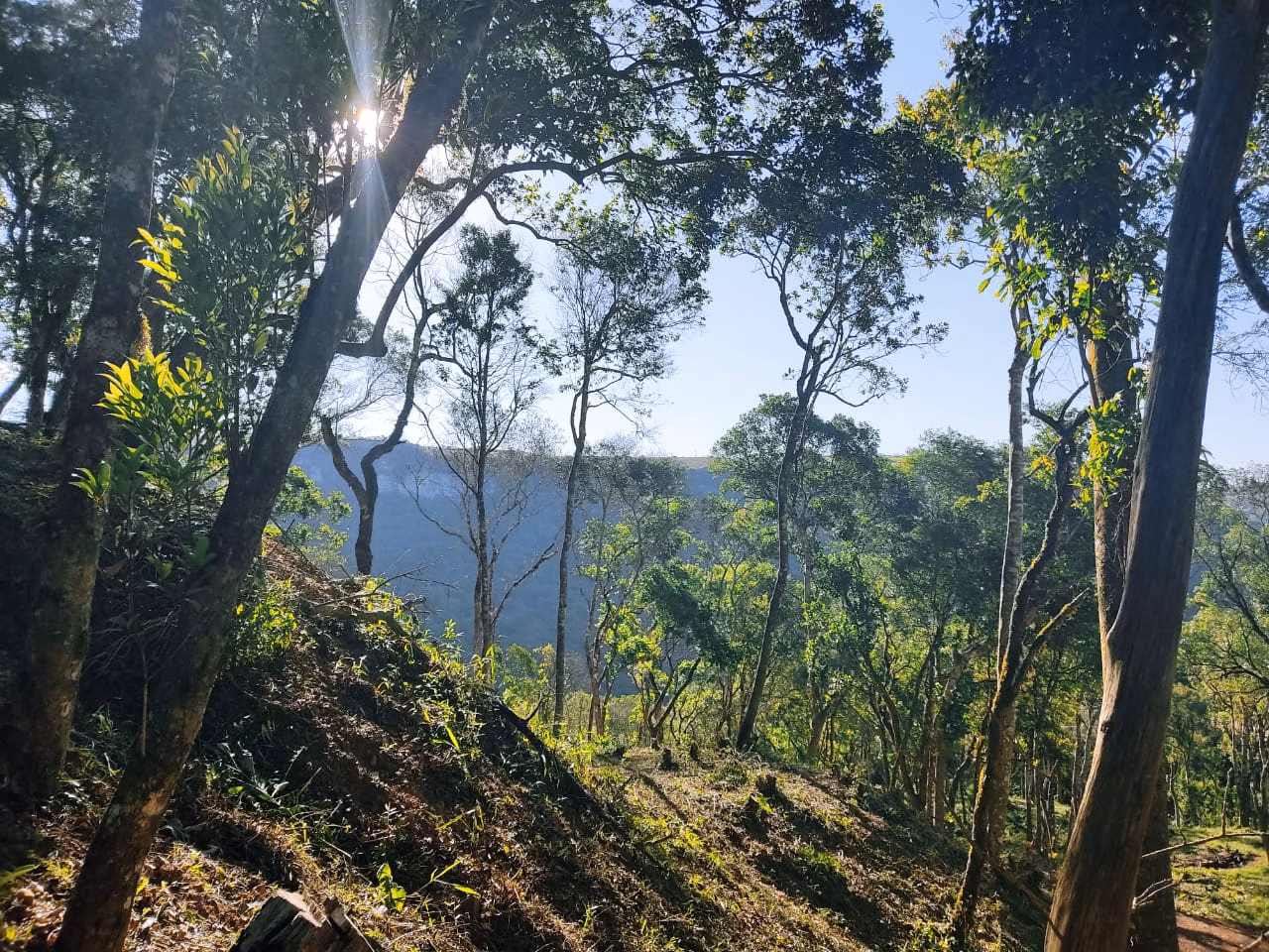 Terreno de 2 ha em Campo Largo, PR