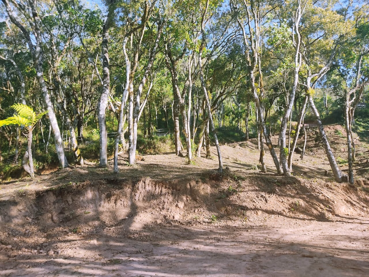 Terreno de 2 ha em Campo Largo, PR