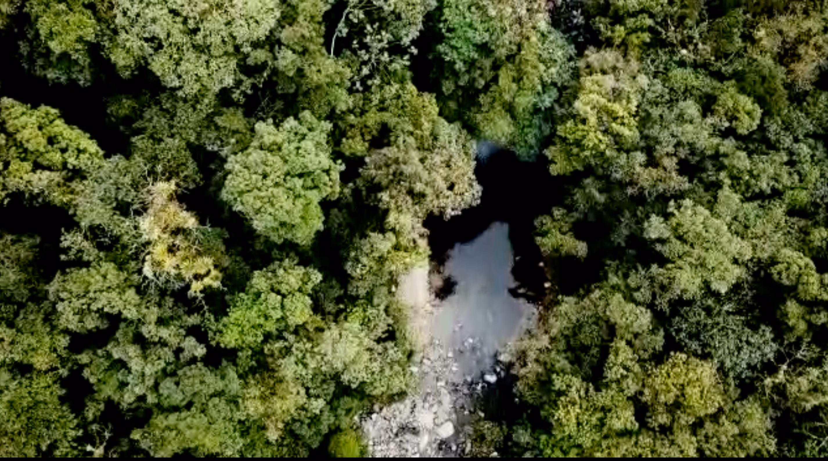 Sítio de 63 ha em Morretes, PR