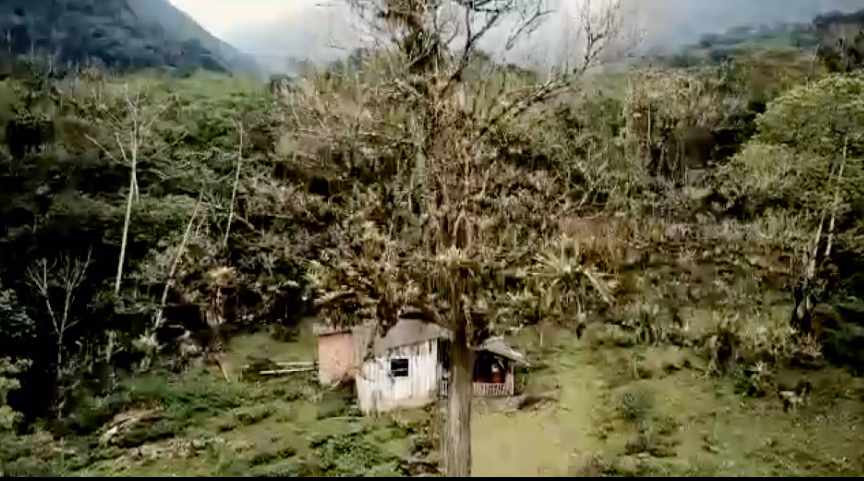 Sítio de 63 ha em Morretes, PR