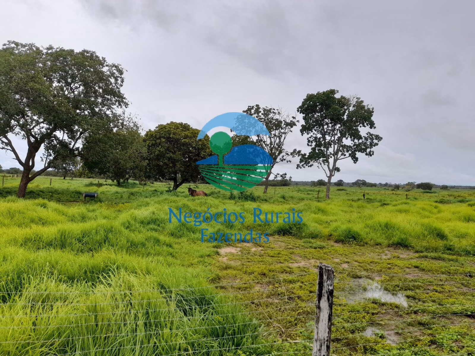 Fazenda de 2.095 ha em Paranã, TO