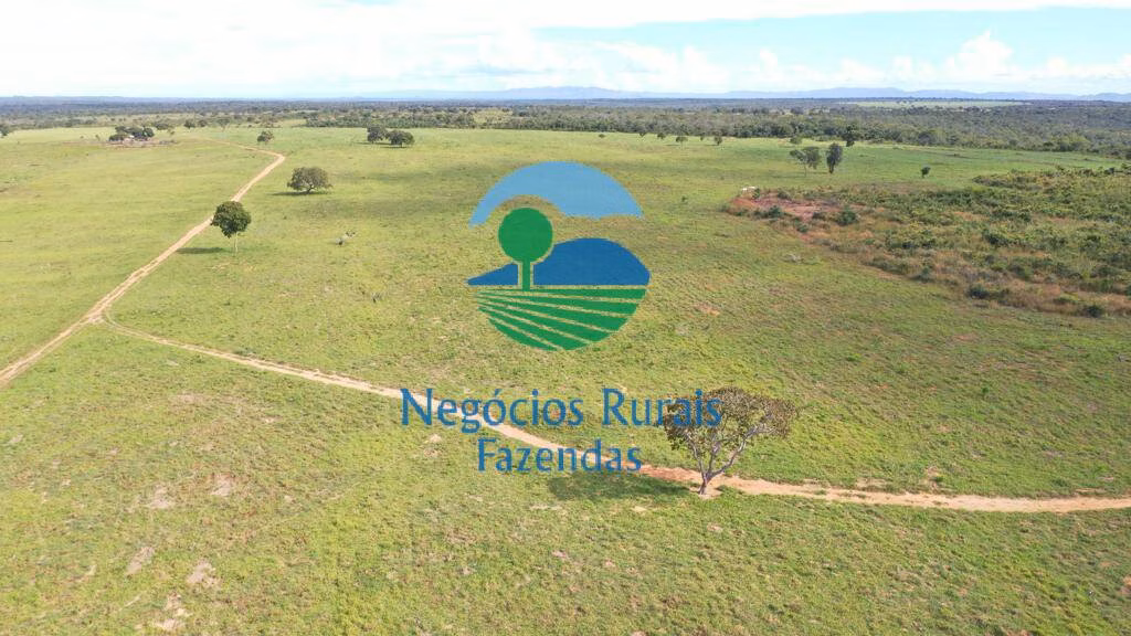 Fazenda de 2.095 ha em Paranã, TO