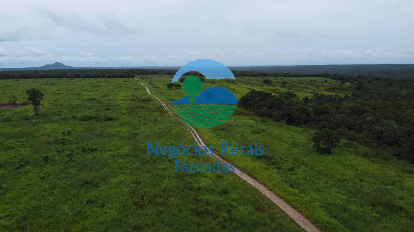 Fazenda de 2.095 ha em Paranã, TO