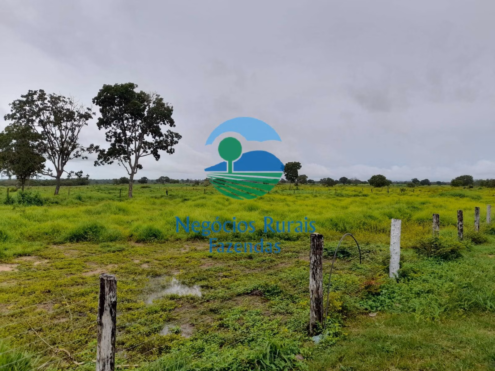 Fazenda de 2.095 ha em Paranã, TO