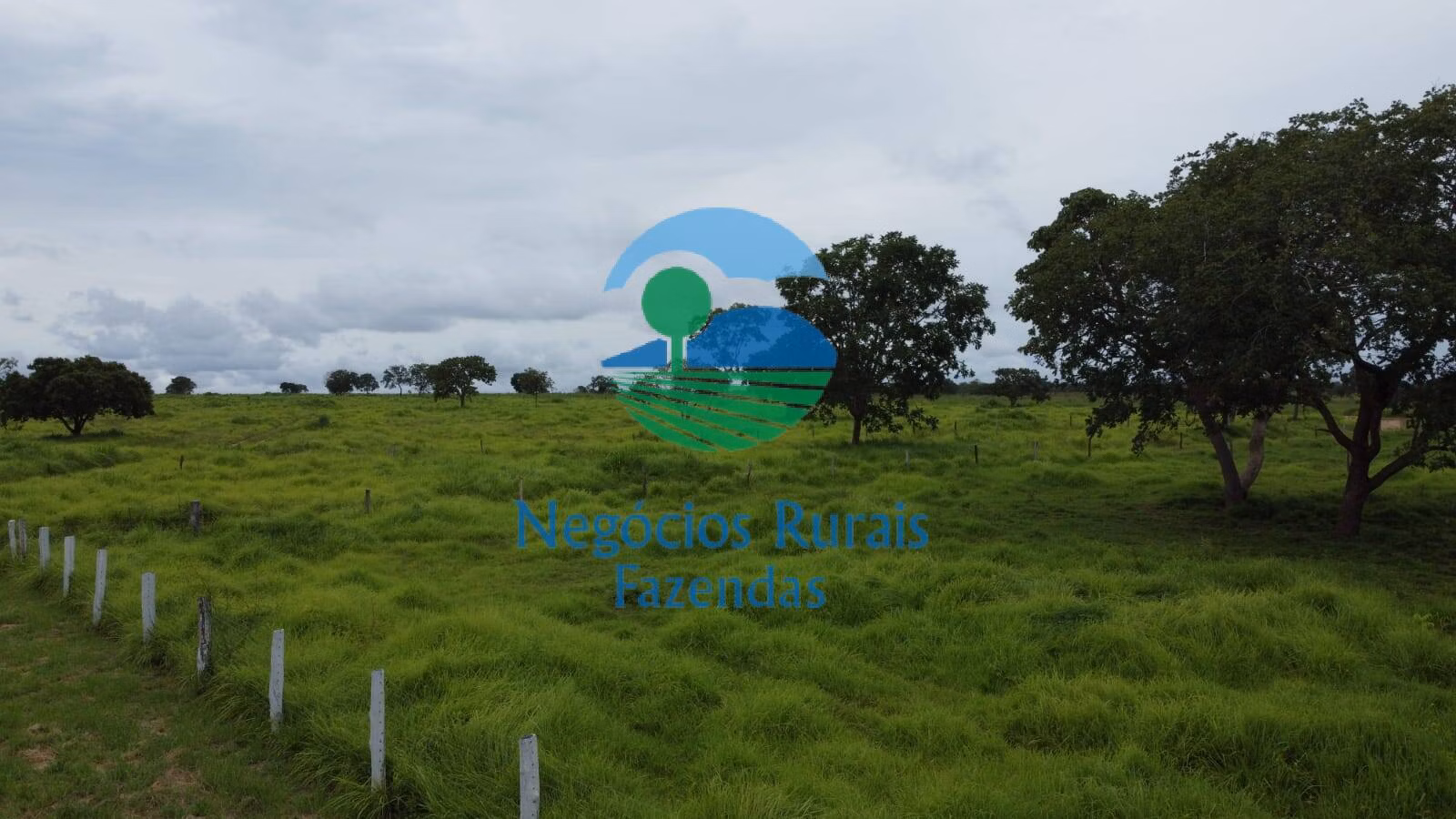 Fazenda de 2.095 ha em Paranã, TO
