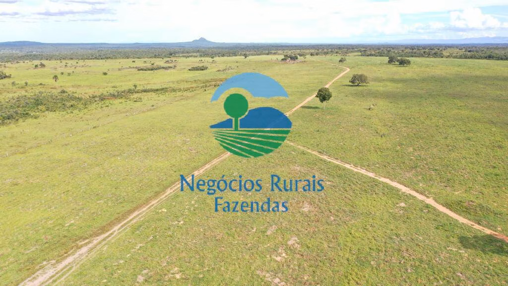 Fazenda de 2.095 ha em Paranã, TO