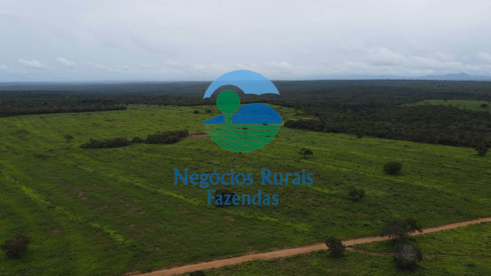 Fazenda de 2.095 ha em Paranã, TO
