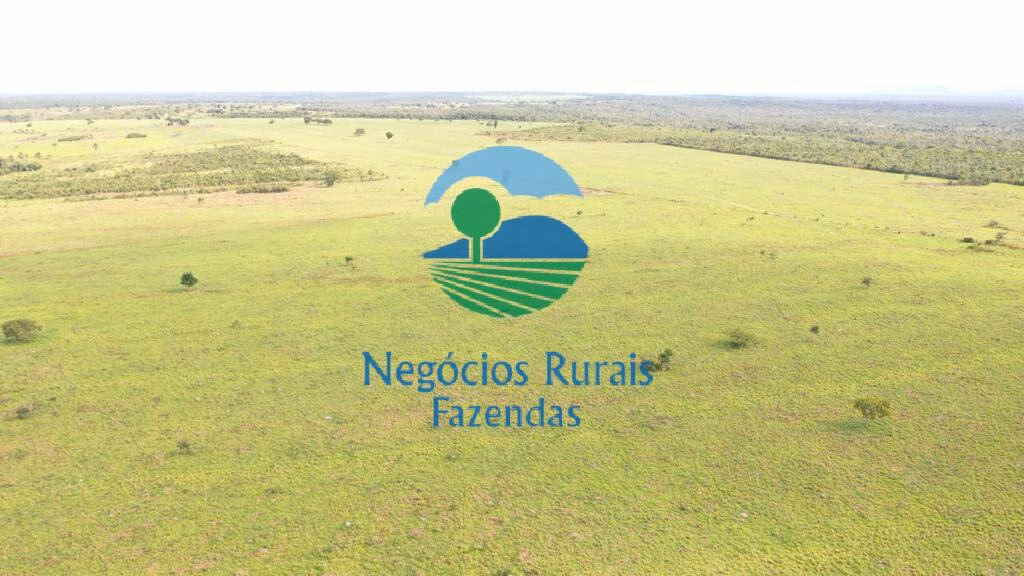 Fazenda de 2.095 ha em Paranã, TO