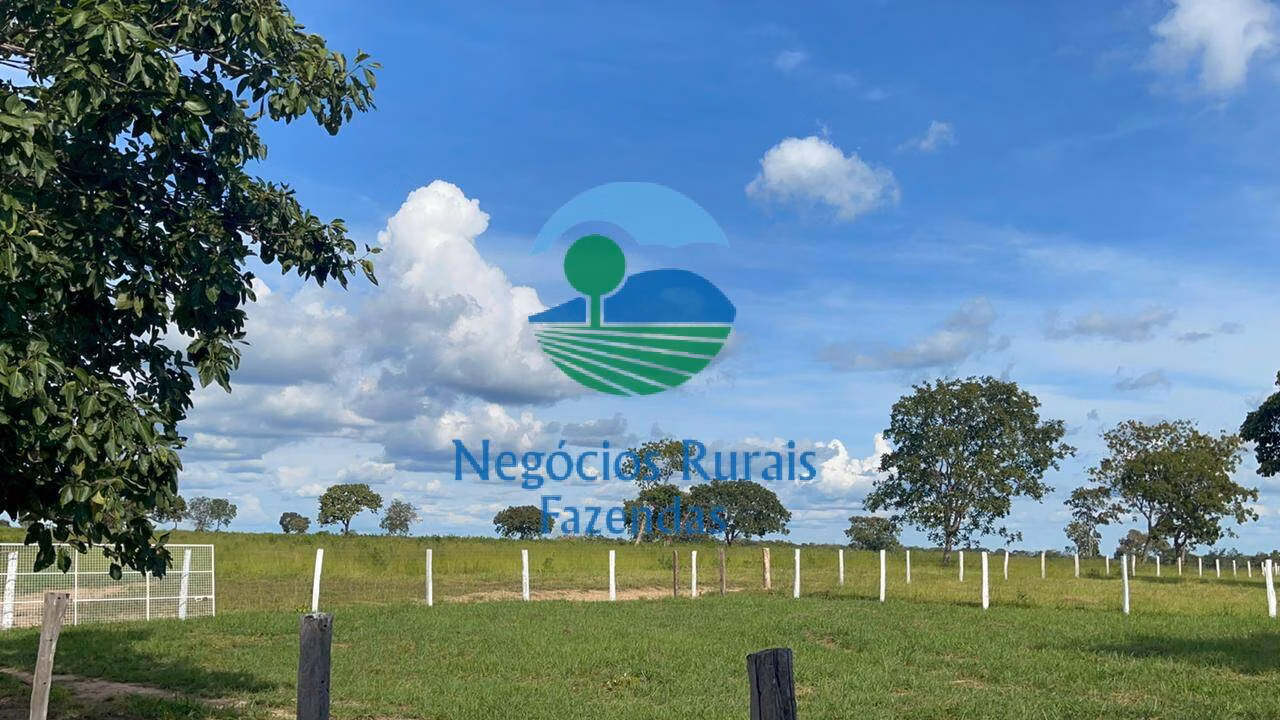 Fazenda de 2.095 ha em Paranã, TO