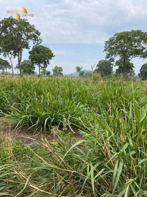 Fazenda de 3.100 ha em Poconé, MT