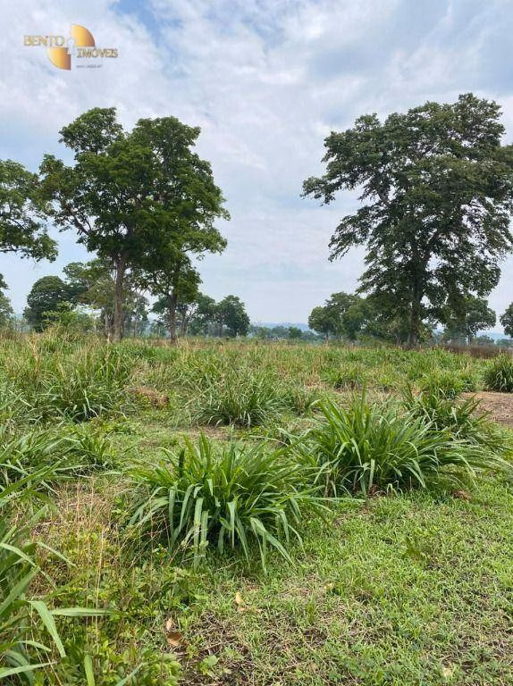 Farm of 7.660 acres in Poconé, MT, Brazil
