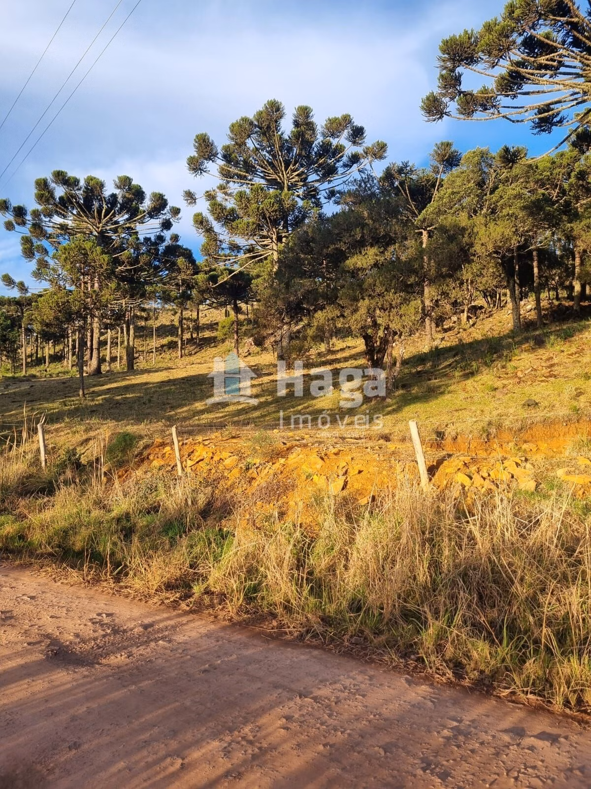 Farm of 12 acres in Bom Jardim da Serra, SC, Brazil