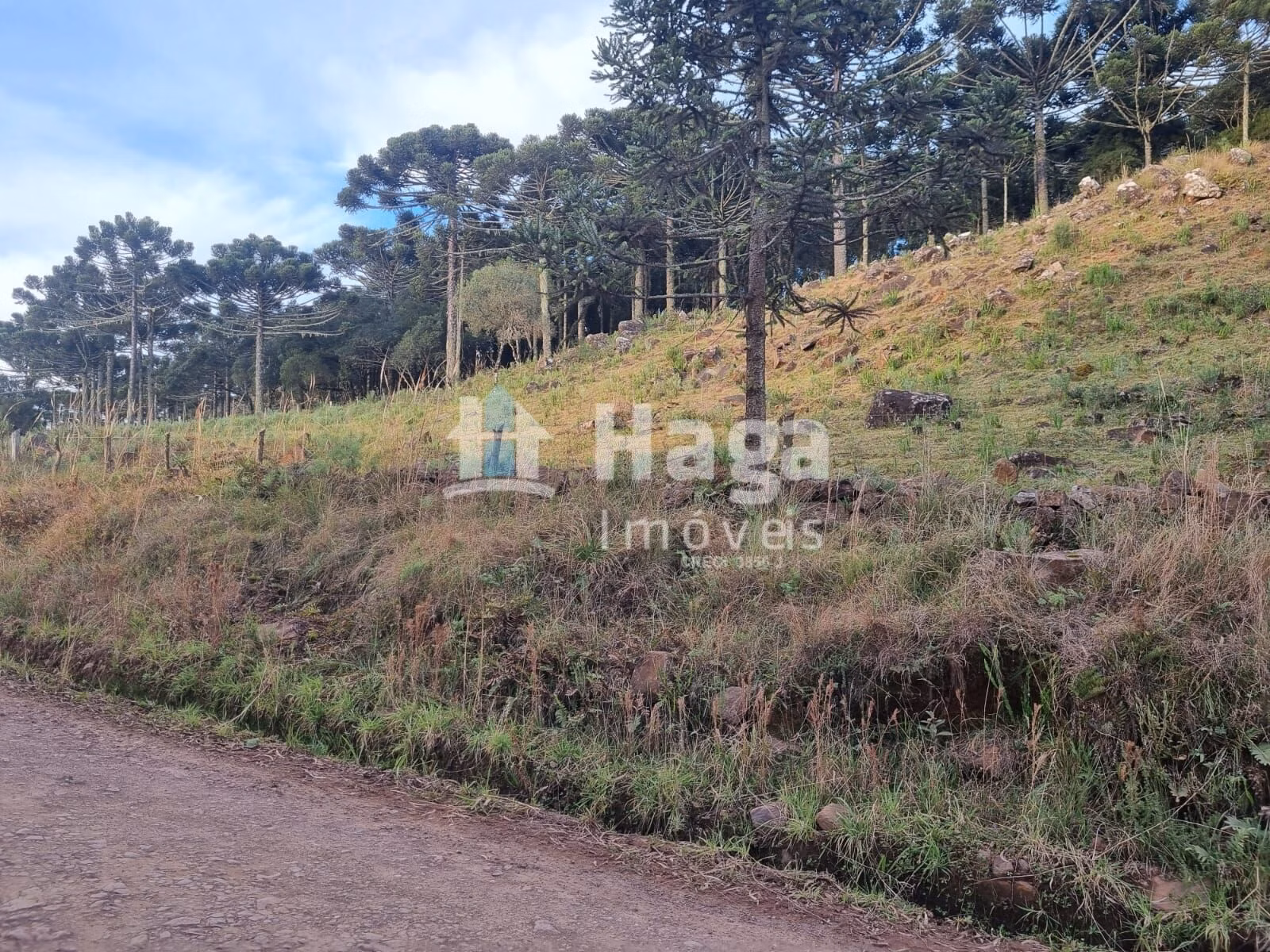 Farm of 12 acres in Bom Jardim da Serra, SC, Brazil