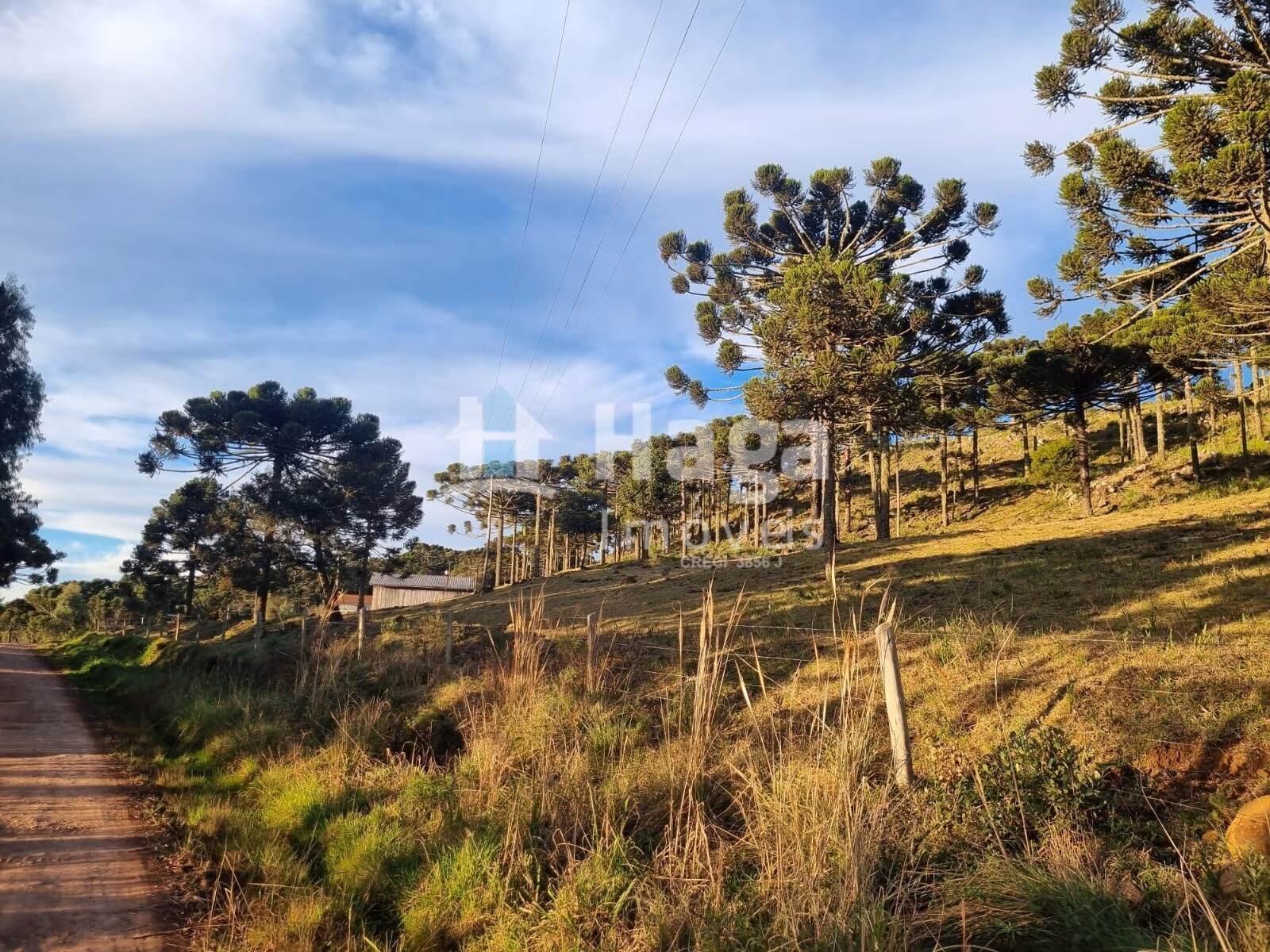 Farm of 12 acres in Bom Jardim da Serra, SC, Brazil