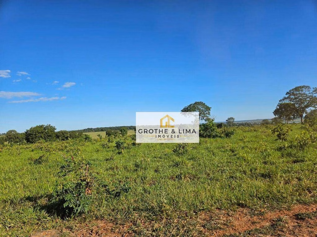 Fazenda de 719 ha em Ribas do Rio Pardo, MS