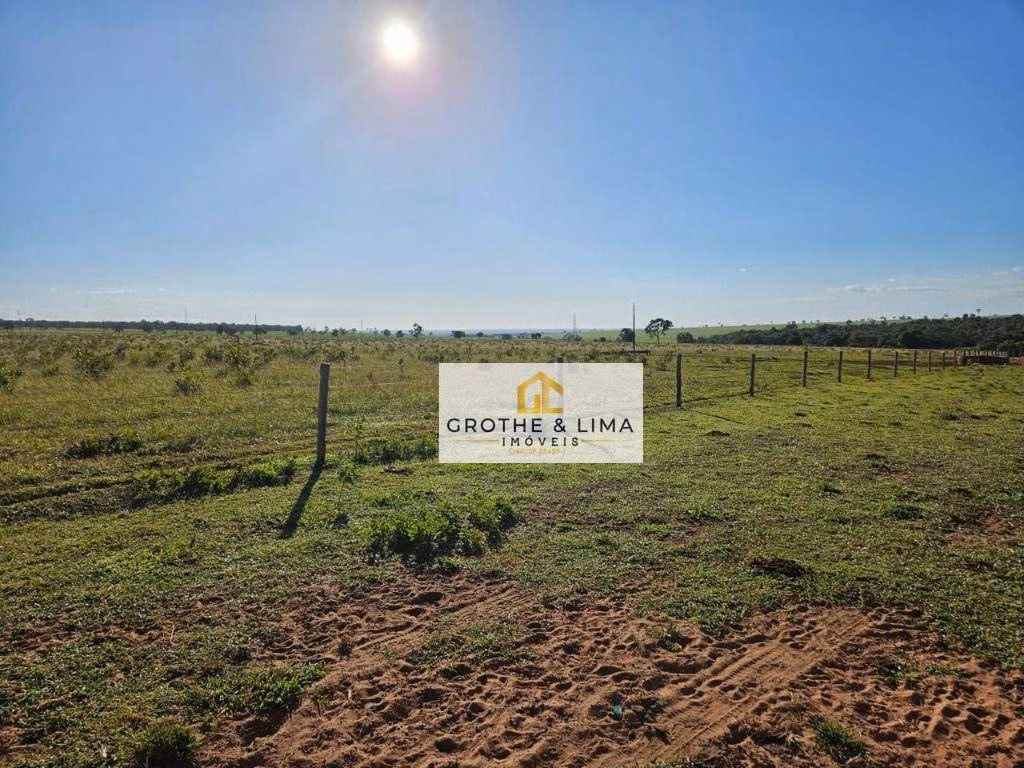 Fazenda de 719 ha em Ribas do Rio Pardo, MS