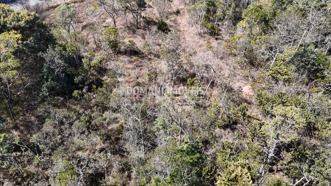 Plot of 2 acres in Campos do Jordão, SP, Brazil