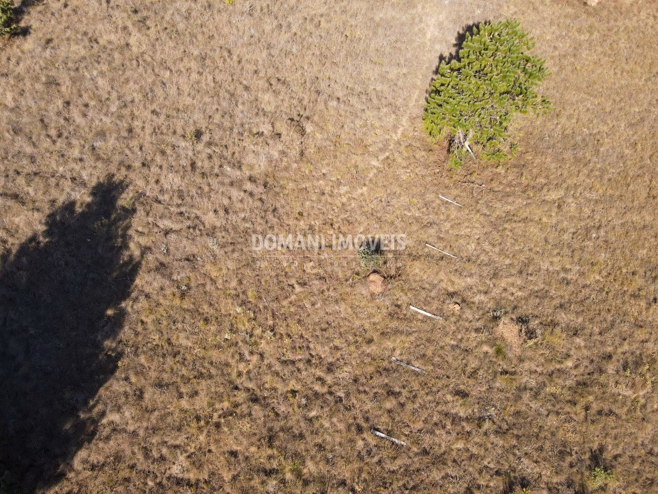 Plot of 1,100 m² in Campos do Jordão, SP, Brazil