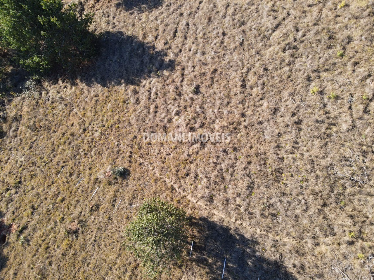 Plot of 1,100 m² in Campos do Jordão, SP, Brazil