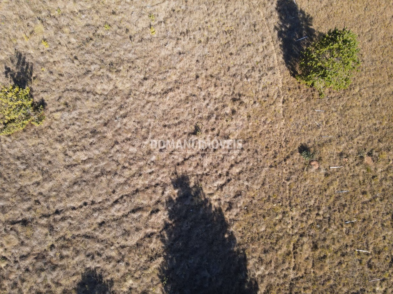 Plot of 1,100 m² in Campos do Jordão, SP, Brazil
