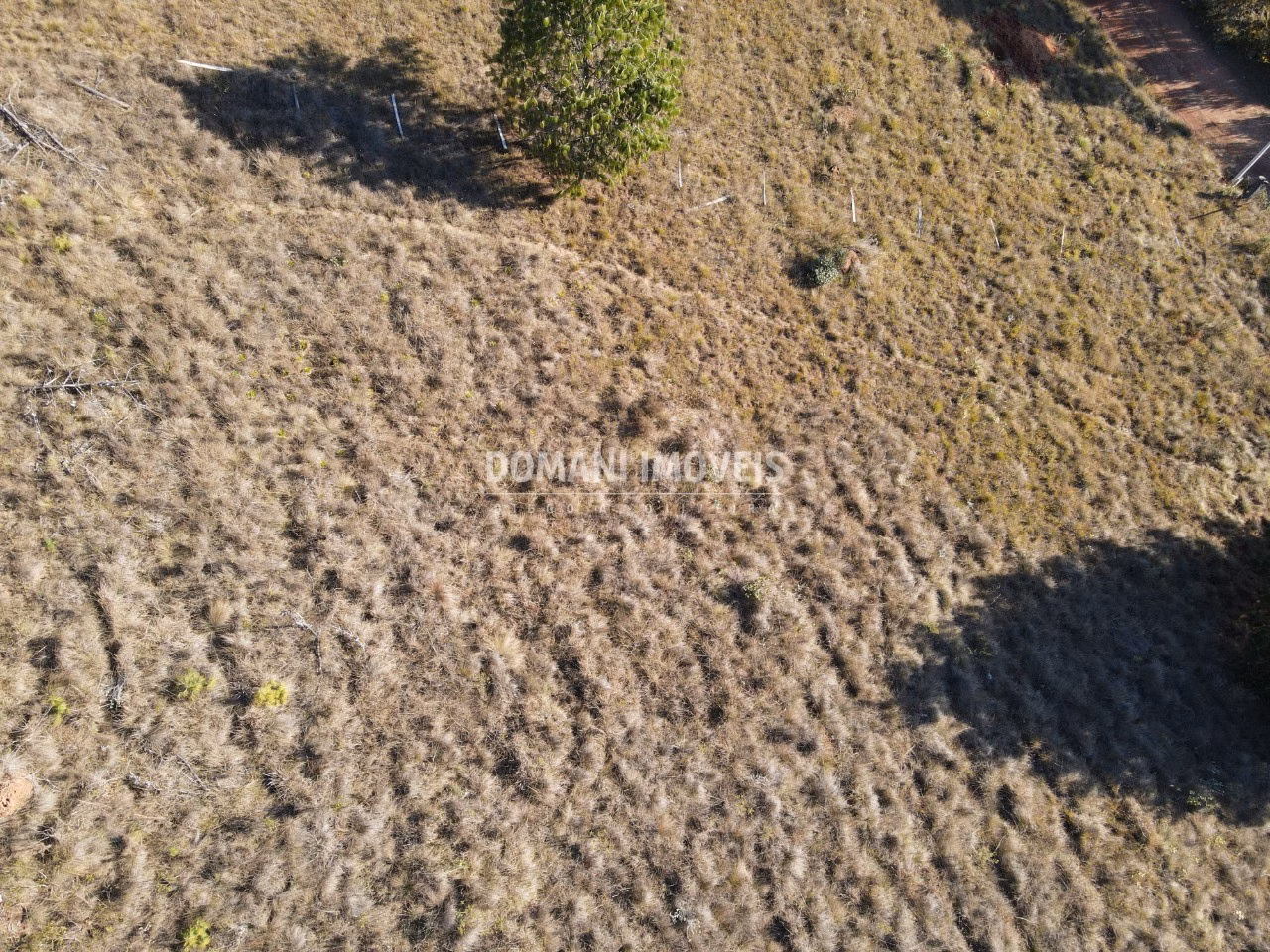 Plot of 1,100 m² in Campos do Jordão, SP, Brazil