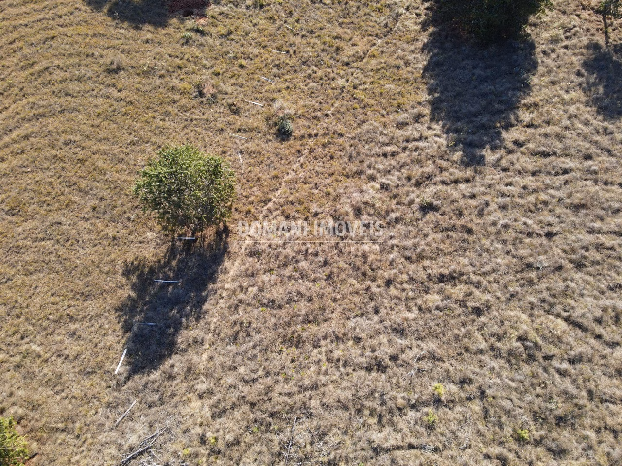 Plot of 1,100 m² in Campos do Jordão, SP, Brazil